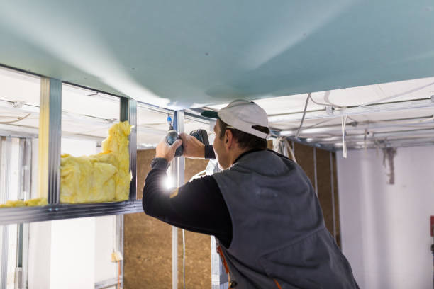 Best Attic Insulation Installation  in Tye, TX